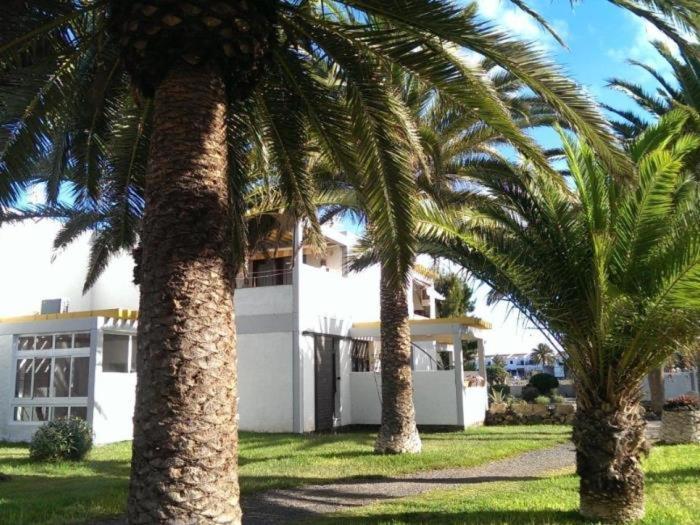 El Drago Fiber ,a/c,near Ocean Appartement Costa Del Silencio